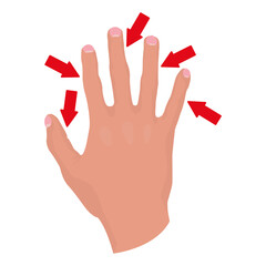 Fototapeta premium Finger