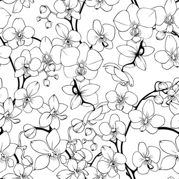 Seamless pattern with orchids line art. Vector flower background.
