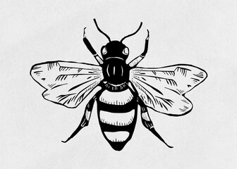 Vintage bee vector insect linocut stencil pattern clipart - obrazy, fototapety, plakaty
