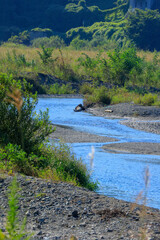 river in the mountains