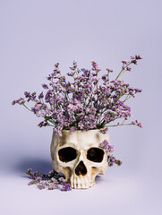Lilac field flowers in a human's skull that serves as a pot on lavender pastel background. Creative Halloween floral concept. Dead head, gothic art, and romantic details. Fashion minimal art. - obrazy, fototapety, plakaty