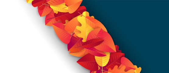 Autumn banner with red and orange leaves on black and white background. Vector illustration.