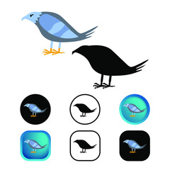 Flat Pigeon Bird Icon Collection