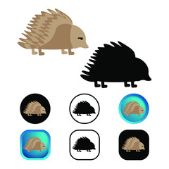 Flat Porcupine Animal Icon Collection