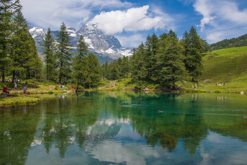 Idyllic alpine landscape with ducks in the lake in Valtournenche, Aosta Valley, Italy