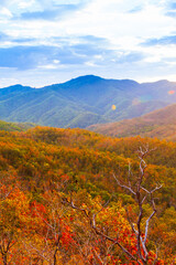 Scenery of autumn mountains at sunset.