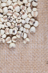 Millet rice closeup backgroun