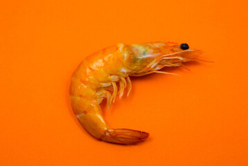 Tasty fresh Shrimp or Prawn on the orange background..Close up photo. Healthy seafood. Minimalism, original and creative image. Beautiful natural wallpaper.