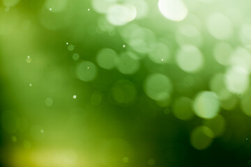 Fototapeta premium Green lights bokeh background.