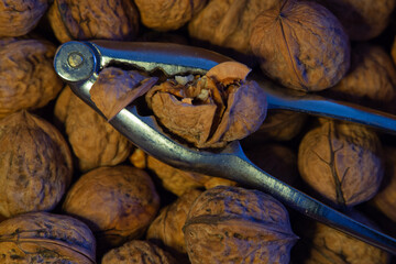 Une autre noix cass&eacute;e