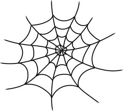 Spider web doodle vector drawing. For printing on T-shirts, Halloween cards, posters.