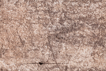 Texture old wood background.