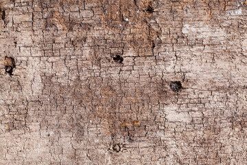 Texture old wood background.
