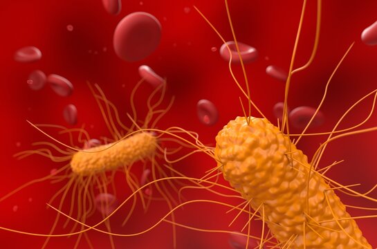 General bacterias in the blood flow - closeup view 3d illustration