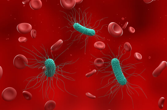 General bacterias in the blood flow - isometric view 3d illustration