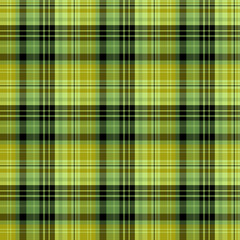 Seamless pattern in autumn green and black colors for plaid, fabric, textile, clothes, tablecloth and other things. Vector image.