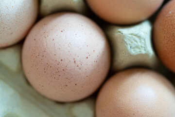Eierpackung - Eier in einem Eierkarton