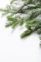 White  holiday background on green branch Christmas concept with copy space