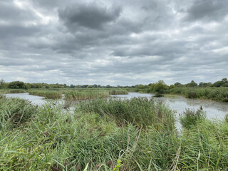 Landscape of Westhay nature reserve on the Somerset levels in England on a cloudy day