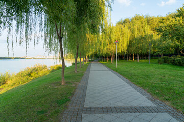 path in the park