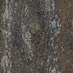 Walnut bark on closer inspection. The texture of the bark of an old, moss-covered tree. Textured background made of old bark of a large tree. 3D-rendering.