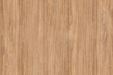 Oak wood textured design 
