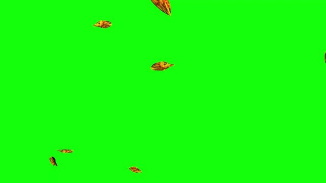 Autumn 3D leaves falling , chroma key, graphic source element