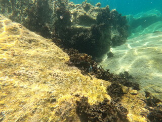DCIM\100GOPRO\GOPR0102.JPG