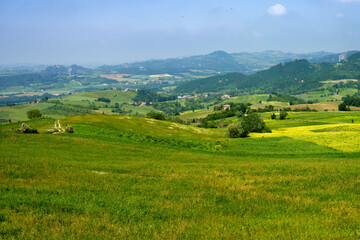 Vineyards at May in Piedmont, near Brignano and Serra del Monte