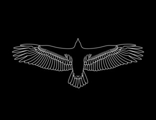 Soaring eagle stencil. Eagle engraving. Stencil art. Line drawing. Black background. Black and white. Flying bird.