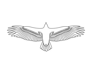 Soaring eagle stencil. Eagle engraving. Stencil art. Line drawing. Black and white. Flying bird.