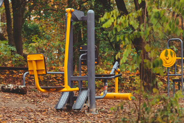 body builder simulators trainer outdoors in autumn city park