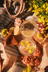 picnic concept glasses of wine bun outdoors on blanket