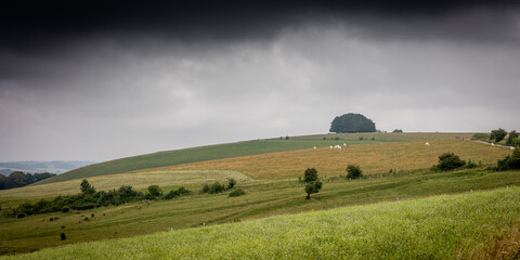 Open countryside near Chalton Shaftesbury Dorset England