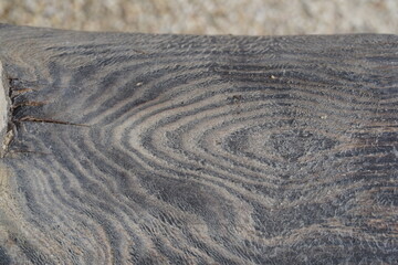 Fototapeta na wymiar wood texture background, mare, wood from the sea