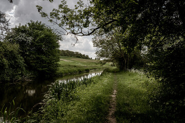 Canal through UK countryside in spring by the wods