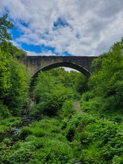 Causey arch viewed from below in County Durham, UK