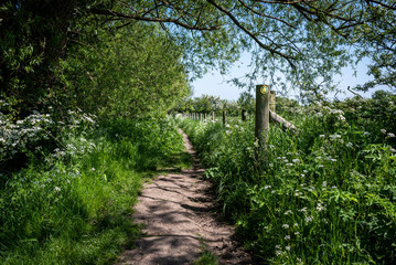 Fototapeta na wymiar Country path through fields and woods