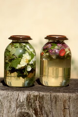 Two glass jars with sun tea. Solar tea is water heated by solar energy, which contains various tree leaves, flowers, medicinal herbs, fruits. 