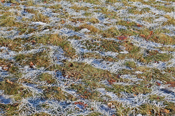 Frost on the grass in sunny weather