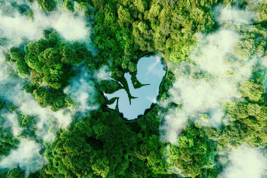 Concept depicting the self-renewing processes of nature and new life in general in the form of an embryo-shaped lake in the middle of a pristine forest. 3d rendering.
