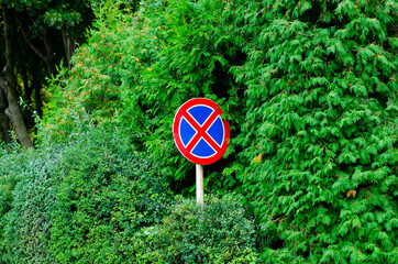 Indicator sign. Traffic Laws. Carriageway. Stopping is prohibited.