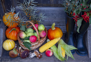 Autumn harvest. Bright fresh fruits, vegetables and berries are lying on the wooden porch. There are rubber boots nearby.