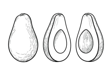 Avocado, black and white drawing. Whole avocado, cut in half avocado. Vector illustration, isolated on a white background.