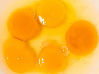 Raw egg yolks and whites. Broken chicken eggs