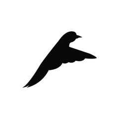 Bird vector icon. fly illustration sign. food symbol. meat logo.