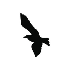 Bird vector icon. fly illustration sign. food symbol. meat logo.