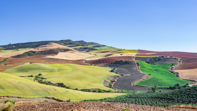 Paisaje r&uacute;stico con parcelas de tierra de distinto color por los cultivos un d&iacute;a soleado con cielo azul . Desde el campo de Andaluc&iacute;a, sur de Espa&ntilde;a.