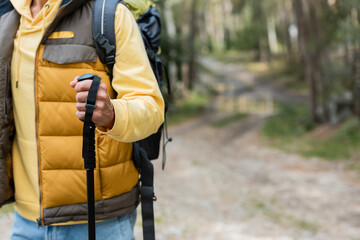 partial view of hiker in warm vest holding trekking pole outdoors