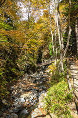 那須塩原 渓谷の紅葉